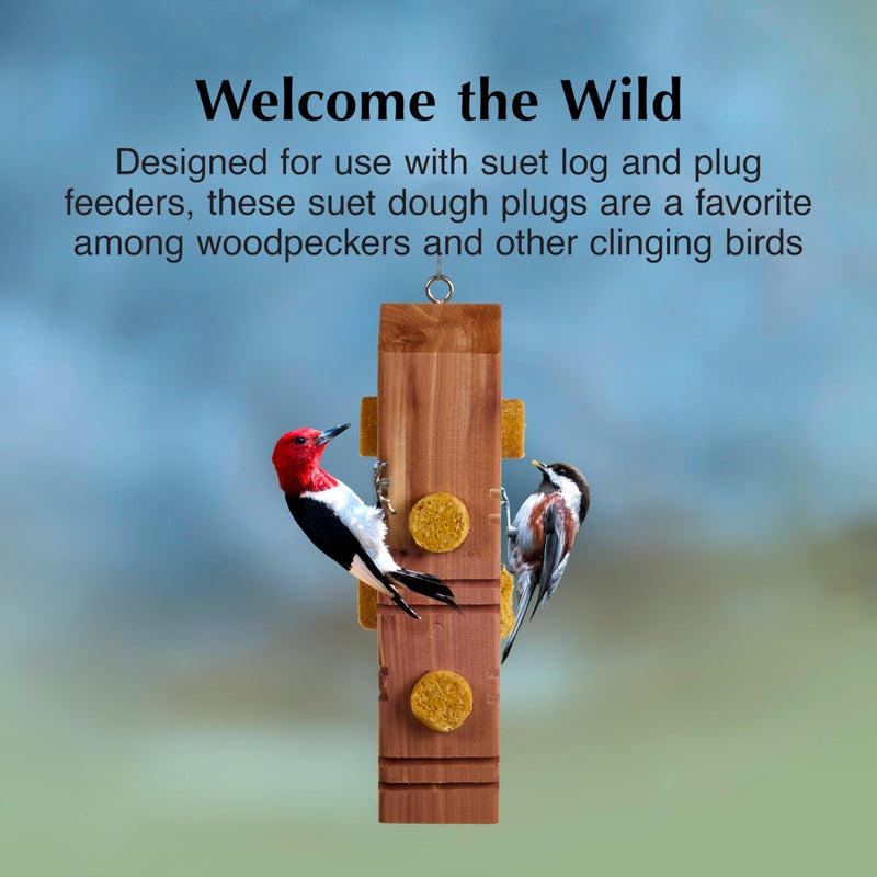 CS C&S Peanut Delight No Melt Suet Dough Plugs, Suet Plugs for Wild Birds, 12 Oz, 4 Count - Image 3